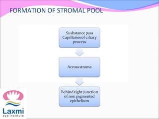 FORMATION OF STROMAL POOL
 