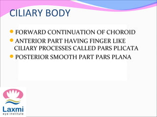 CILIARY BODY
FORWARD CONTINUATION OF CHOROID
ANTERIOR PART HAVING FINGER LIKE
CILIARY PROCESSES CALLED PARS PLICATA
POSTERIOR SMOOTH PART PARS PLANA
 