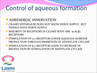 Control of aqueous formation
ADRENERGIC INNERVATION
CILIARY EPITHELIUM DOES NOT SHOW NERVE SUPPLY , BUT
VESSELS HAVE NERVE SUPPLY
MAJORITY OF RECEPTORS IN CILIARY BODY ARE α2 & β2
RECEPTORS
STIMULATION OF α 2 RECEPTOR LOWER AQUEOUS HUMOUR
PRODUCTION THROUGH INHIBITION OF ADENYLATE CYCLASE
STIMULATION OF β 2 RECEPTOR LEADS TO INCREASE IN
PRODUCTION BY STIMULATION OF ADENYLATE CYCLASE
 