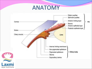 ANATOMY
 