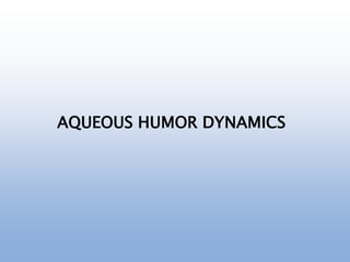 AQUEOUS HUMOR DYNAMICS
 