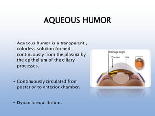 AQUEOUS HUMOR
• Aqueous humor is a transparent ,
colorless solution formed
continuously from the plasma by
the epithelium of the ciliary
processes.
• Continuously circulated from
posterior to anterior chamber.
• Dynamic equilibrium.
 