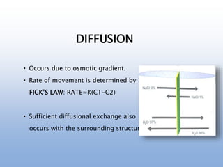 DIFFUSION
• Occurs due to osmotic gradient.
• Rate of movement is determined by
FICK’S LAW: RATE=K(C1-C2)
• Sufficient diffusional exchange also
occurs with the surrounding structures.
 