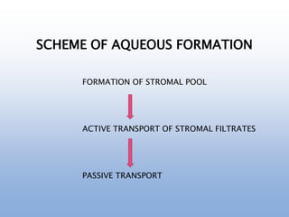 SCHEME OF AQUEOUS FORMATION
FORMATION OF STROMAL POOL
ACTIVE TRANSPORT OF STROMAL FILTRATES
PASSIVE TRANSPORT
 