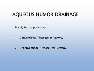 AQUEOUS HUMOR DRAINAGE
Mainly by two pathways:
1. Conventional/ Trabecular Pathway
2. Unconventional/Uveoscleral Pathway
 