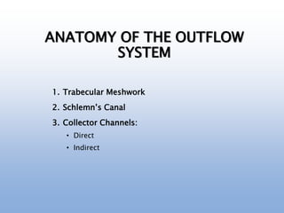 ANATOMY OF THE OUTFLOW
SYSTEM
1. Trabecular Meshwork
2. Schlemn’s Canal
3. Collector Channels:
• Direct
• Indirect
 