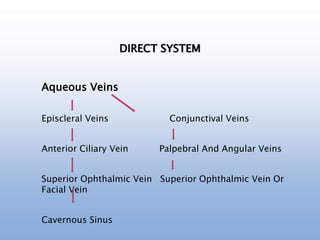 DIRECT SYSTEM
Aqueous Veins
Episcleral Veins Conjunctival Veins
Anterior Ciliary Vein Palpebral And Angular Veins
Superior Ophthalmic Vein Superior Ophthalmic Vein Or
Facial Vein
Cavernous Sinus
 