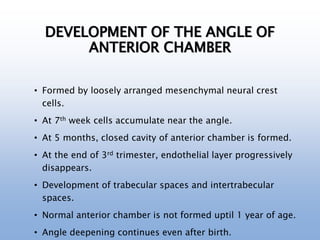 DEVELOPMENT OF THE ANGLE OF
ANTERIOR CHAMBER
• Formed by loosely arranged mesenchymal neural crest
cells.
• At 7th week cells accumulate near the angle.
• At 5 months, closed cavity of anterior chamber is formed.
• At the end of 3rd trimester, endothelial layer progressively
disappears.
• Development of trabecular spaces and intertrabecular
spaces.
• Normal anterior chamber is not formed uptil 1 year of age.
• Angle deepening continues even after birth.
 