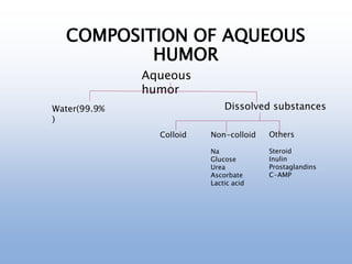 Aqueous
humor
Water(99.9%
)
Dissolved substances
Colloid Non-colloid
Na
Glucose
Urea
Ascorbate
Lactic acid
Others
Steroid
Inulin
Prostaglandins
C-AMP
COMPOSITION OF AQUEOUS
HUMOR
 