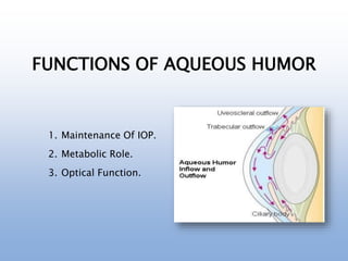 FUNCTIONS OF AQUEOUS HUMOR
1. Maintenance Of IOP.
2. Metabolic Role.
3. Optical Function.
 