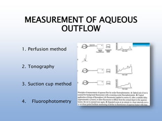 MEASUREMENT OF AQUEOUS
OUTFLOW
1. Perfusion method
2. Tonography
3. Suction cup method
4. Fluorophotometry
 