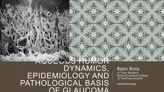 AQUEOUS HUMOR
DYNAMICS,
EPIDEMIOLOGY AND
PATHOLOGICAL BASIS
Bipin Bista
2nd year Resident
National medical College
& Teaching Hospital
Ophthalmology
 