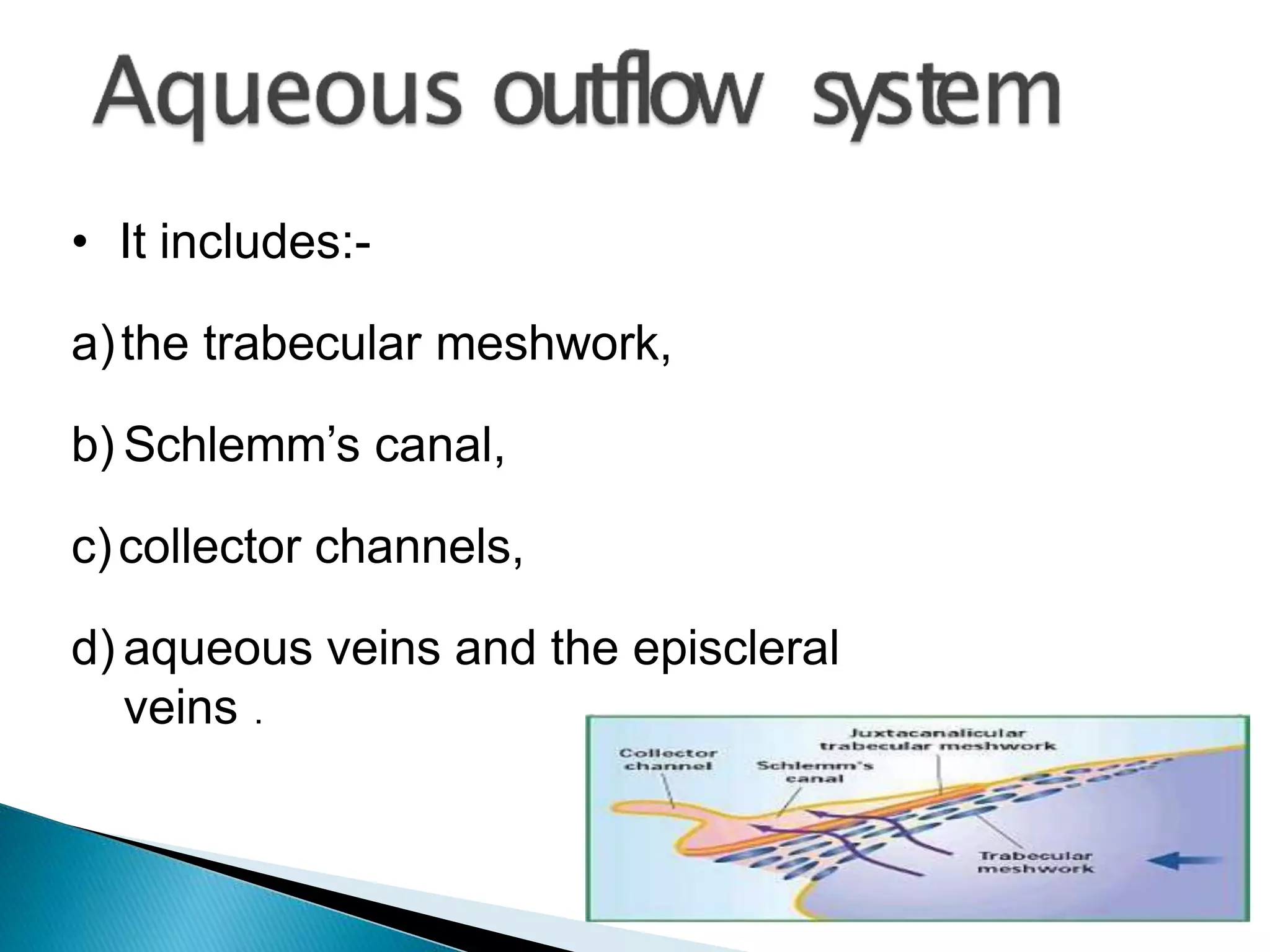 • It includes:-
a)the trabecular meshwork,
b) Schlemm’s canal,
c)collector channels,
d) aqueous veins and the episcleral
veins .
 