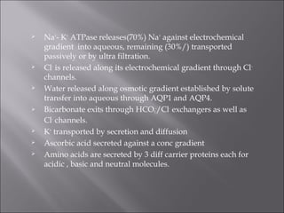  Na+
- K+
ATPase releases(70%) Na+
against electrochemical
gradient into aqueous, remaining (30%/) transported
passively or by ultra filtration.
 Cl-
is released along its electrochemical gradient through Cl-
channels.
 Water released along osmotic gradient established by solute
transfer into aqueous through AQP1 and AQP4.
 Bicarbonate exits through HCO3
-
/Cl-
exchangers as well as
Cl-
channels.
 K+
transported by secretion and diffusion
 Ascorbic acid secreted against a conc gradient
 Amino acids are secreted by 3 diff carrier proteins each for
acidic , basic and neutral molecules.
 