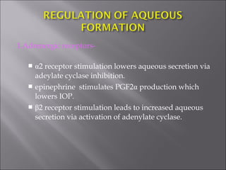 1.Adrenergic receptors-
 α2 receptor stimulation lowers aqueous secretion via
adeylate cyclase inhibition.
 epinephrine stimulates PGF2α production which
lowers IOP.
 β2 receptor stimulation leads to increased aqueous
secretion via activation of adenylate cyclase.
 