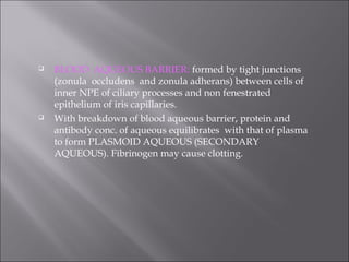  BLOOD AQUEOUS BARRIER: formed by tight junctions
(zonula occludens and zonula adherans) between cells of
inner NPE of ciliary processes and non fenestrated
epithelium of iris capillaries.
 With breakdown of blood aqueous barrier, protein and
antibody conc. of aqueous equilibrates with that of plasma
to form PLASMOID AQUEOUS (SECONDARY
AQUEOUS). Fibrinogen may cause clotting.
 