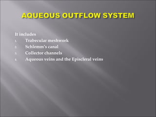 It includes
1. Trabecular meshwork
2. Schlemm’s canal
3. Collector channels
4. Aqueous veins and the Episcleral veins
 