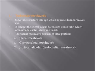 1. Trabecular meshwork
 Sieve-like structure through which aqueous humour leaves
eye.
 It bridges the scleral sulcus & converts it into tube, which
accommodates the Schlemm’s canal.
 Trabecular meshwork consists of three portions
A. Uveal meshowk
B. Corneoscleral meshwork
C. Juxtacanalicular (endothelial) meshwork
 