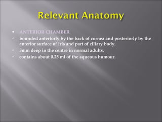  ANTERIOR CHAMBER
 bounded anteriorly by the back of cornea and posteriorly by the
anterior surface of iris and part of ciliary body.
 3mm deep in the centre in normal adults.
 contains about 0.25 ml of the aqueous humour.
 