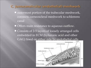  outermost portion of the trabecular meshwork,
connects corneoscleral meshwork to schlemms
canal
 Offers main resistance to aqueous outflow.
 Consists of 2-5 layers of loosely arranged cells
embedded in ECM (hyluronic acid and other
GAG) lined on either side by endothelial cells
 