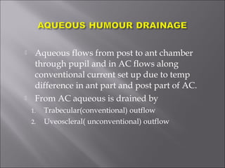  Aqueous flows from post to ant chamber
through pupil and in AC flows along
conventional current set up due to temp
difference in ant part and post part of AC.
 From AC aqueous is drained by
1. Trabecular(conventional) outflow
2. Uveoscleral( unconventional) outflow
 