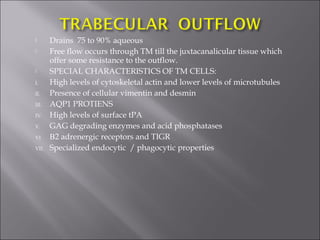  Drains 75 to 90% aqueous
 Free flow occurs through TM till the juxtacanalicular tissue which
offer some resistance to the outflow.
 SPECIAL CHARACTERISTICS OF TM CELLS:
I. High levels of cytoskeletal actin and lower levels of microtubules
II. Presence of cellular vimentin and desmin
III. AQP1 PROTIENS
IV. High levels of surface tPA
V. GAG degrading enzymes and acid phosphatases
VI. Β2 adrenergic receptors and TIGR
VII. Specialized endocytic / phagocytic properties
 