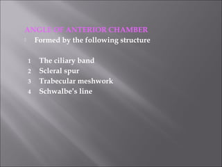 ANGLE OF ANTERIOR CHAMBER
 Formed by the following structure
1 The ciliary band
2 Scleral spur
3 Trabecular meshwork
4 Schwalbe’s line
 