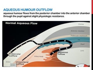 AQUEOUS HUMOUR DYNAMICS PPT ophtha .pptx