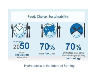 Hydroponics is the future of farming