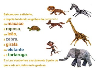 Saboreou-o, satisfeito,
e depois foi dando migalhas do pedacinho
ao macaco,
à raposa,
ao leão,
à zebra,
à girafa,
ao elefante
e à tartaruga.
E a Lua soube-lhes exactamente àquilo de
que cada um deles mais gostava.
 