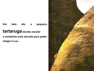 Um belo dia, a pequena
tartaruga decidiu escalar
a montanha mais elevada para poder
chegar à Lua.
 