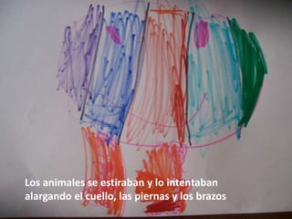 Los animales se estiraban y lo intentaban
alargando el cuello, las piernas y los brazos
 