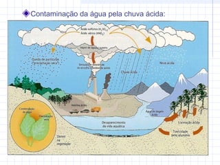 Contaminação da água pela chuva ácida:
 