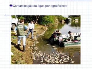 Contaminação da água por agrotóxicos:
 