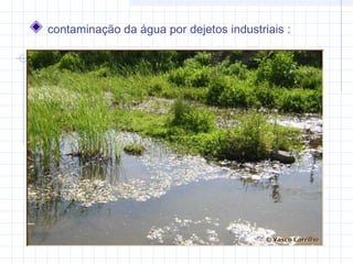 contaminação da água por dejetos industriais :
 