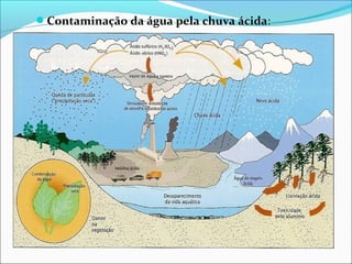 Contaminação da água pela chuva ácida:

 