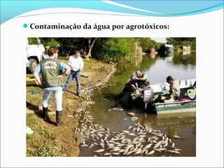 Contaminação da água por agrotóxicos:
 