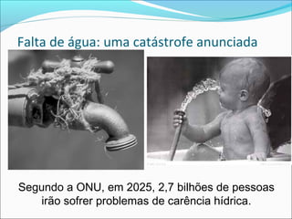 Falta de água: uma catástrofe anunciada
Segundo a ONU, em 2025, 2,7 bilhões de pessoas
irão sofrer problemas de carência hídrica.
 