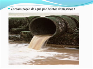 Contaminação da água por dejetos domésticos :
 