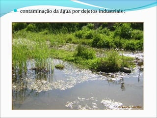  contaminação da água por dejetos industriais :
 