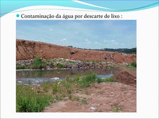 Contaminação da água por descarte de lixo :
 