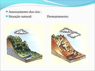 Assoreamento dos rios :
Situação natural: Desmatamento:
 