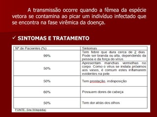 A transmissão ocorre quando a fêmea da espécie vetora se contamina ao picar um indivíduo infectado que se encontra na fase virêmica da doença. SINTOMAS E TRATAMENTO 