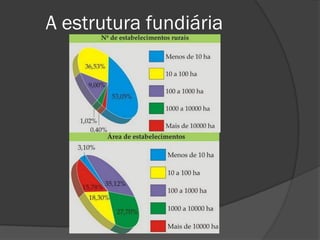 A estrutura fundiária
 