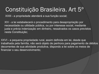 Constituição Brasileira. Art 5º
   XXIII - a propriedade atenderá a sua função social;

  XIV - a lei estabelecerá o procedimento para desapropriação por
  necessidade ou utilidade pública, ou por interesse social, mediante
  justa e prévia indenização em dinheiro, ressalvados os casos previstos
  nesta Constituição;

XXVI - a pequena propriedade rural, assim definida em lei, desde que
trabalhada pela família, não será objeto de penhora para pagamento de débitos
decorrentes de sua atividade produtiva, dispondo a lei sobre os meios de
financiar o seu desenvolvimento;
 