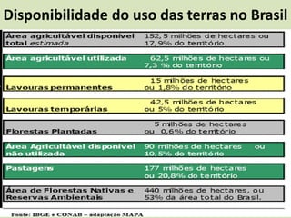 Disponibilidade do uso das terras no Brasil
 