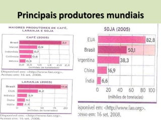 Principais produtores mundiais
 