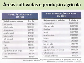 Áreas cultivadas e produção agrícola
 
