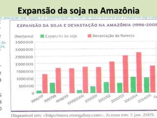 Expansão da soja na Amazônia
 