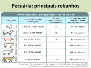 Pecuária: principais rebanhos
 